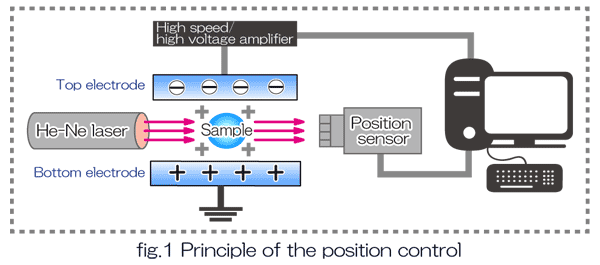 fig.1